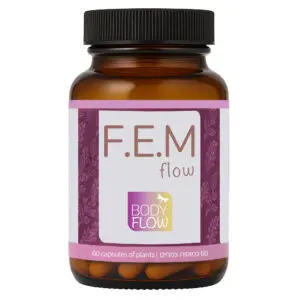 F.E.M Flow