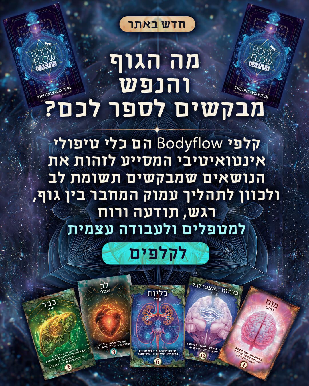 קלפי בודי פלואו