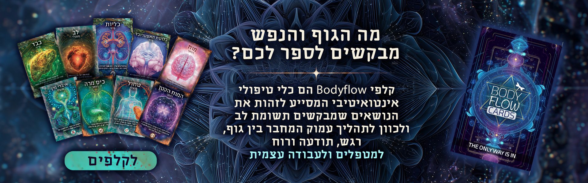 רלפי בודי פלואו