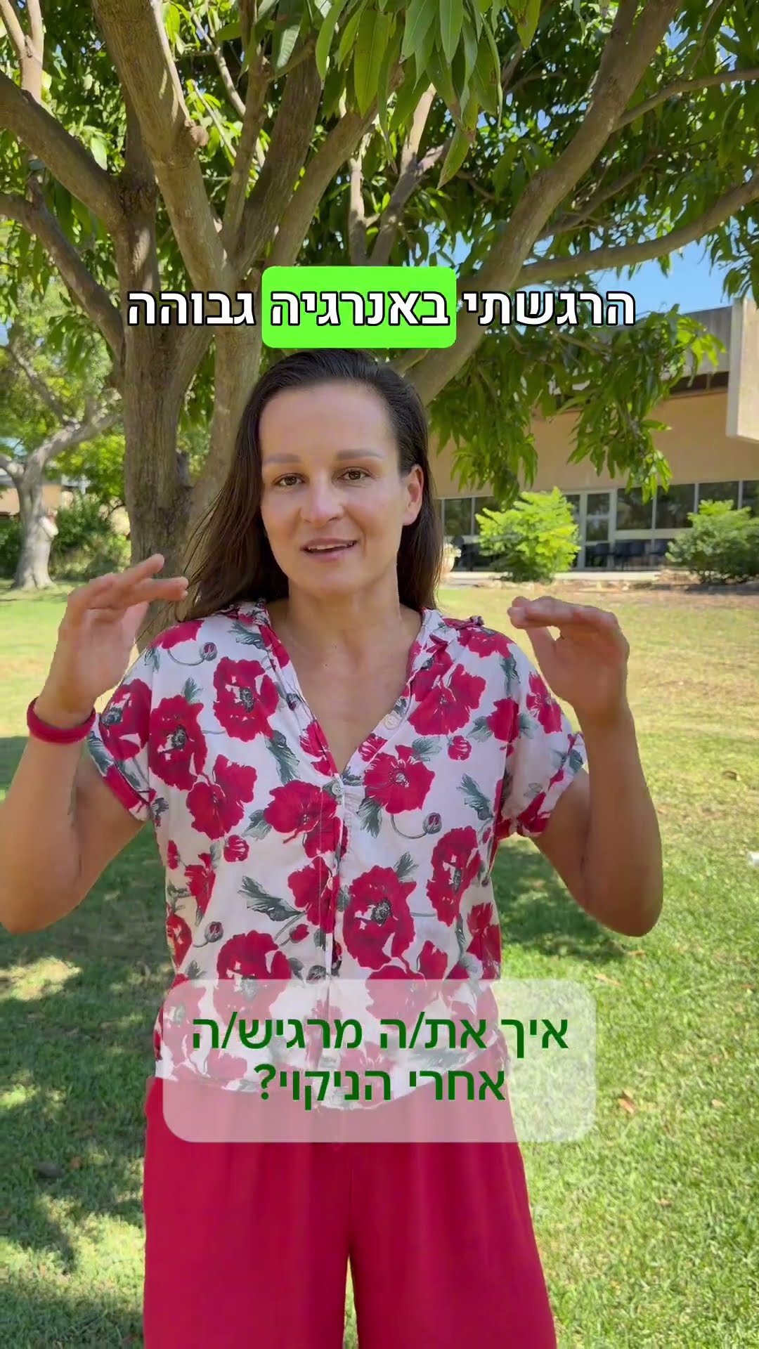 החוויות מריטריט אדמה