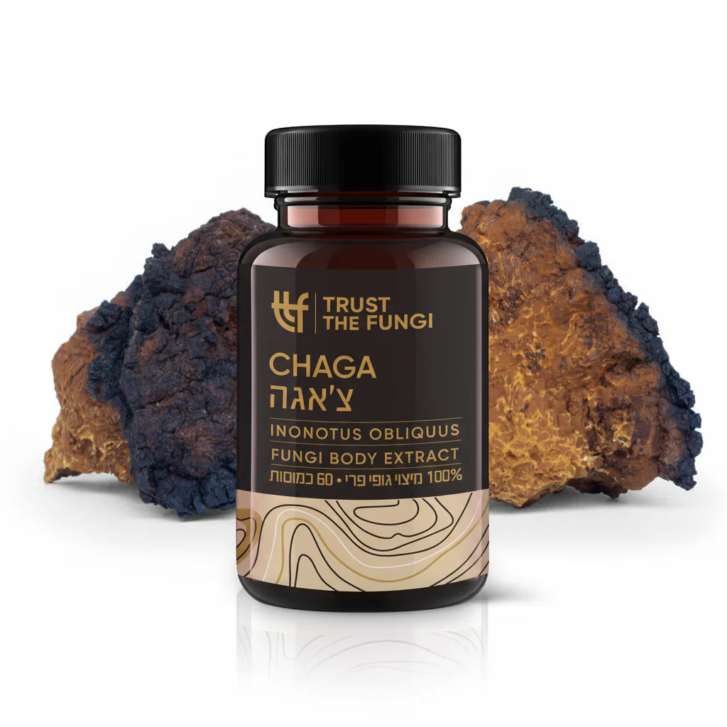 Gemini_Generated_Image_luaqpaluaqpaluaq